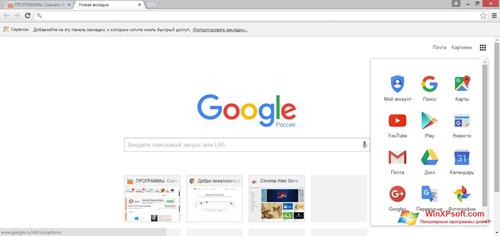 Скриншот программы Google Chrome для Windows XP