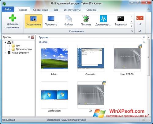 Скриншот программы Remote Manipulator System для Windows XP