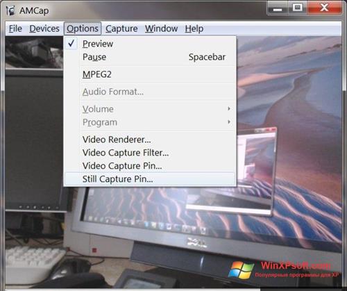 Скриншот программы AMCap для Windows XP