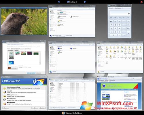 Скриншот программы Dexpot для Windows XP
