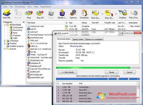 Скриншот программы Internet Download Manager для Windows XP
