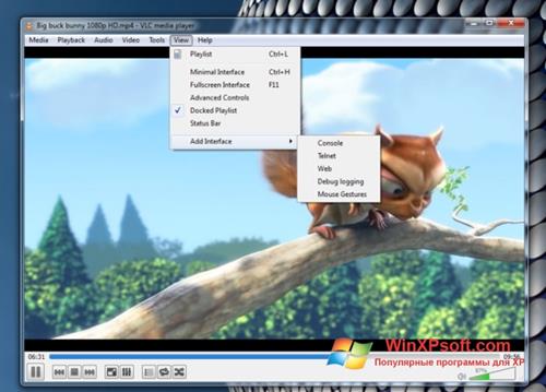 Скриншот программы VLC Media Player для Windows XP