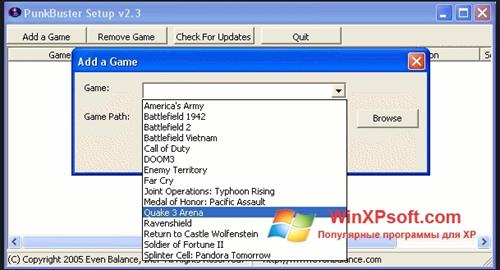 Скриншот программы PunkBuster для Windows XP