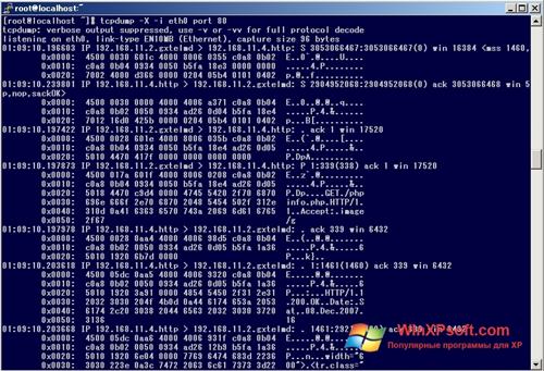 Скриншот программы TCPDUMP для Windows XP