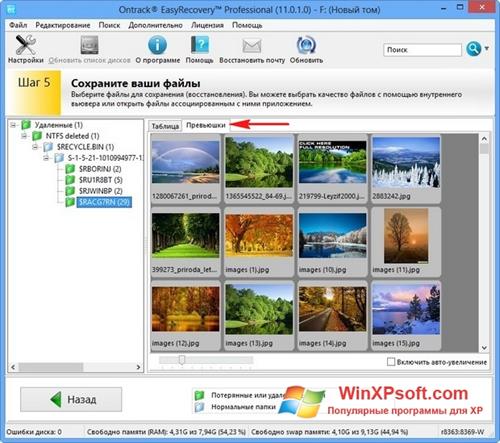 Скриншот программы EasyRecovery Professional для Windows XP