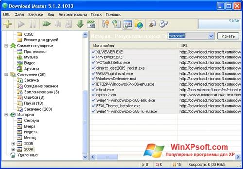 Скриншот программы Download Master для Windows XP
