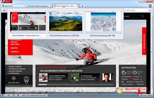 Скриншот программы Opera для Windows XP