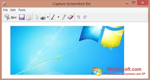 Скриншот программы ScreenShot для Windows XP