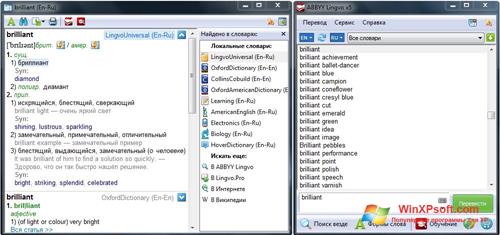 Скриншот программы ABBYY Lingvo для Windows XP