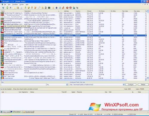 Скриншот программы StrongDC++ для Windows XP