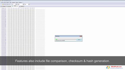 Скриншот программы Hex Editor для Windows XP