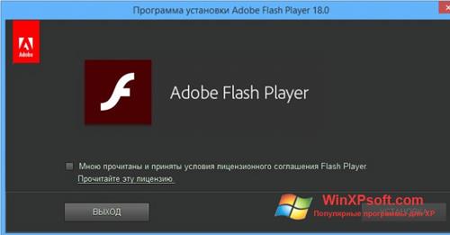 Скриншот программы Adobe Flash Player для Windows XP