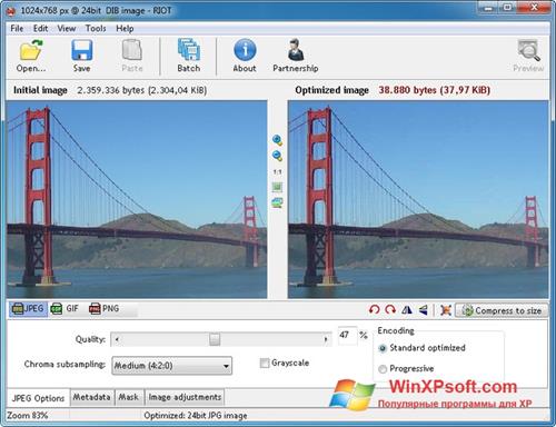Скриншот программы RIOT для Windows XP