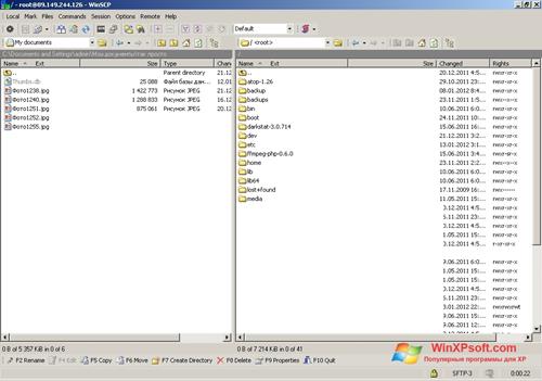 Скриншот программы WinSCP для Windows XP