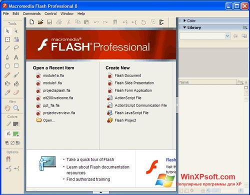 Скриншот программы Macromedia Flash Player для Windows XP