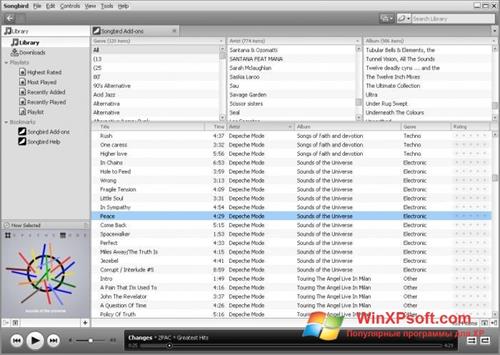 Скриншот программы Songbird для Windows XP