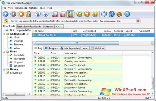 Скриншот программы Free Download Manager для Windows XP