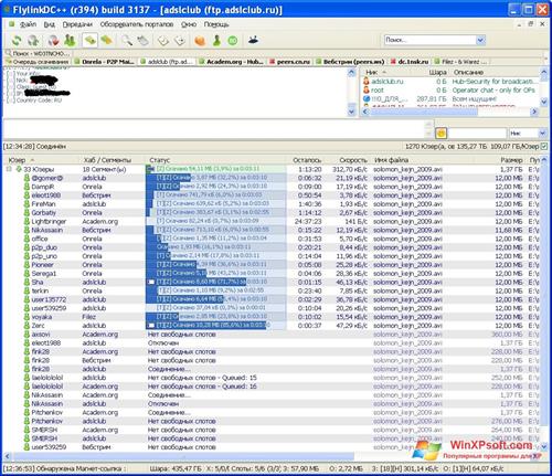 Скриншот программы FlylinkDC++ для Windows XP