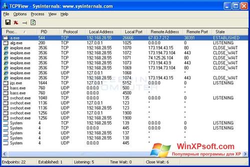 Скриншот программы TCPView для Windows XP
