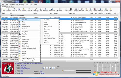 Скриншот программы Mp3tag для Windows XP