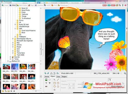Скриншот программы Photoscape для Windows XP