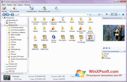 Скриншот программы RS Partition Recovery для Windows XP