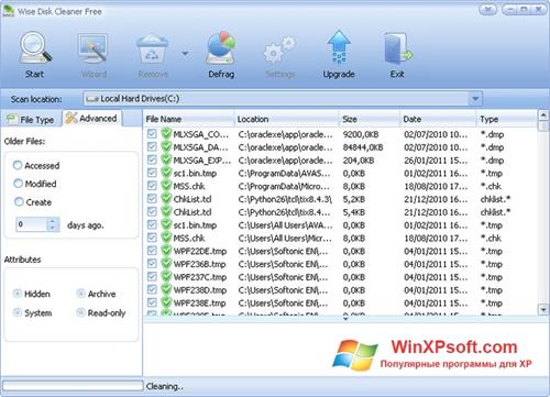 Скриншот программы Wise Disk Cleaner для Windows XP