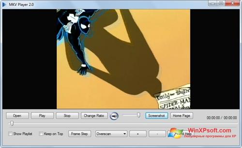 Скриншот программы MKV Player для Windows XP