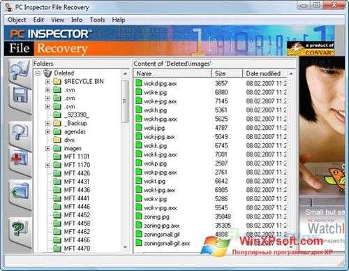 Скриншот программы PC Inspector File Recovery для Windows XP