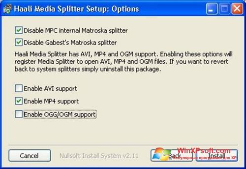 Скриншот программы Haali Media Splitter для Windows XP