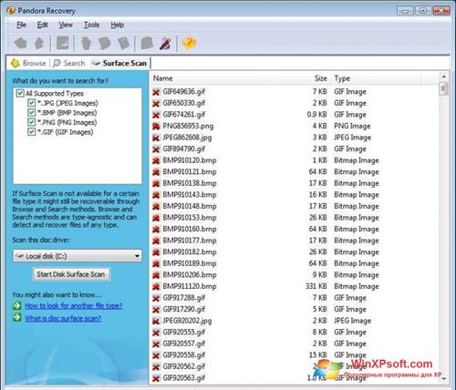 Скриншот программы Pandora Recovery для Windows XP