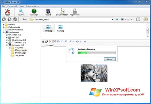 Скриншот программы RS File Recovery для Windows XP