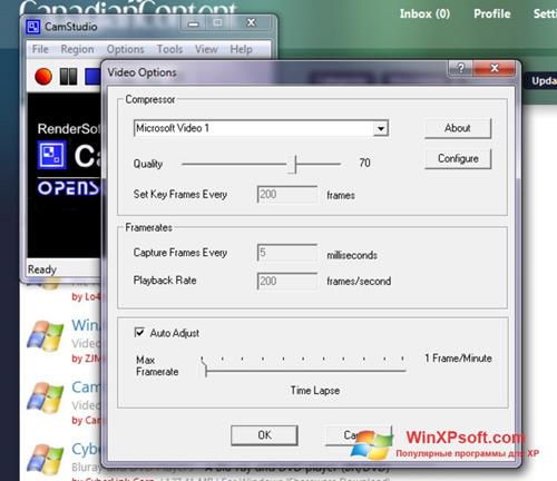 Скриншот программы CamStudio для Windows XP