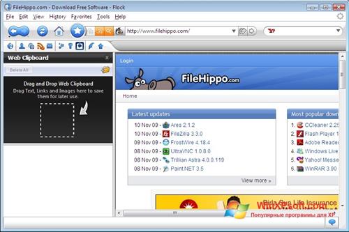 Скриншот программы Flock для Windows XP